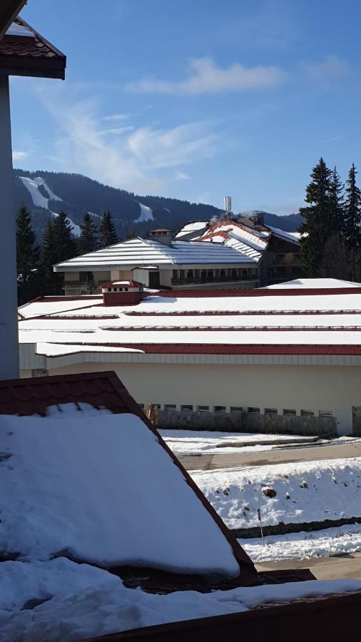 Snezhankas Apartment Παμπόροβο Εξωτερικό φωτογραφία